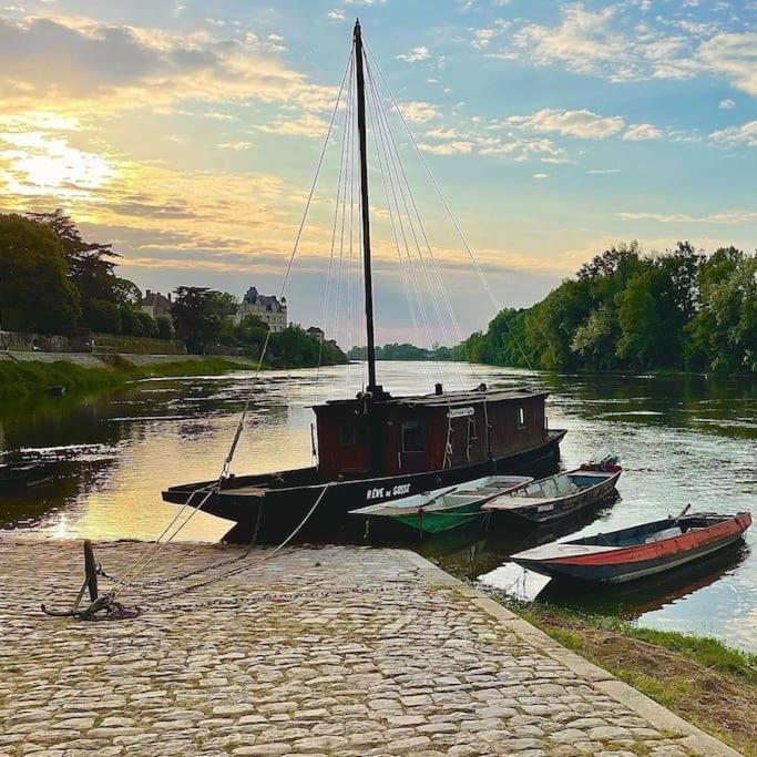 Le 20 La Loire Maison De Bord De Loire Chalonnes-sur-Loire Dış mekan fotoğraf